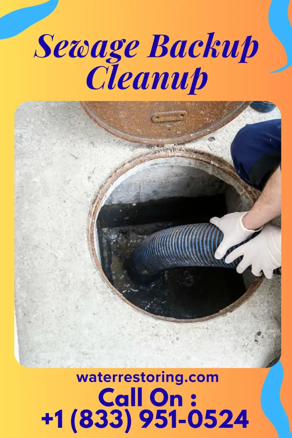 Sewage Backup Cleanup in Harvard, IL