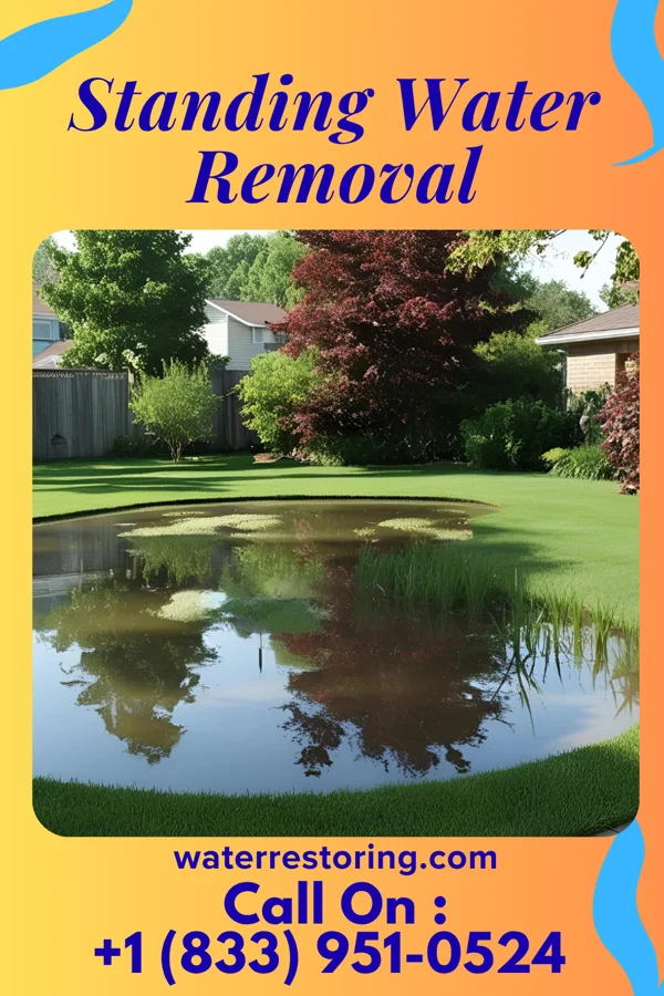 Standing Water Removal in Harvard, IL